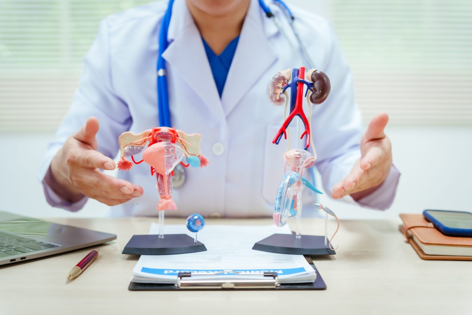 Le programme d'éducation sexuelle Evars arrive en France